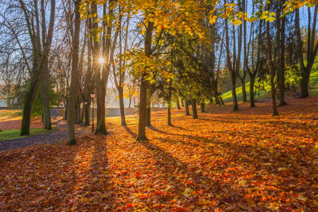 Lithuania nature at autumn. Beautiful Lithuanian landscape in Autumn.の写真素材