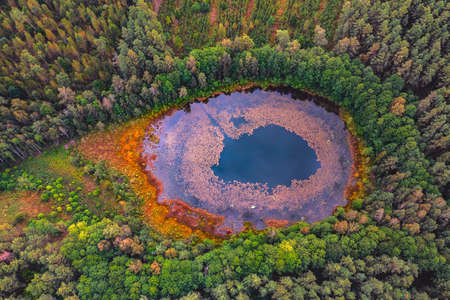 Aerial panoramic view of swamp lake at Autumn, Lithuaniaの写真素材