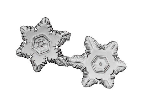 Black snowflake isolated on white background. Illustration based on macro photo of real snow crystal: elegant star plate with short, broad arms, glossy relief surface and complex inner details.の写真素材