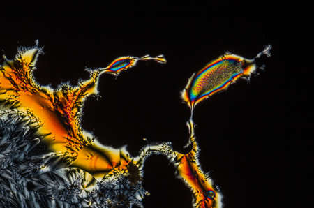 Extreme macro photograph of Vitamin C crystals forming abstract modern art patterns, when illuminated with polarized light, under a microscope objective with 10x magnificationの写真素材