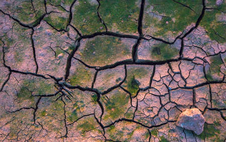 Sandy loam soil In the plateau land. Rough ground dirt For planting short-term crops such as cassava, pineapple, sugar cane. Natural surface of arid drought for background or texture.の写真素材