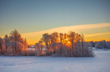 Cold winter morning with red sunlight and frost cover on the trees, extremely cold winter conditionsの写真素材
