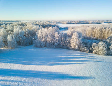 Fabulous aerial winter landscape background of frost on branches, extremely cold environment conditions, cold winter day with sunlightの写真素材