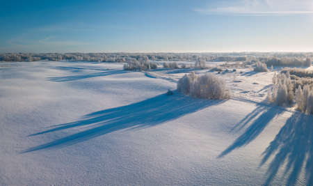 Fabulous aerial winter landscape background of frost on branches, extremely cold environment conditions, cold winter day with sunlightの写真素材