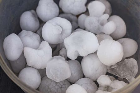 Hailstones the size of golf balls in a bucket after severe stormの写真素材