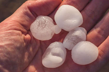 Hailstones the size of golf balls in a hand after severe stormの写真素材