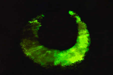 Unique background texture of bioluminescent wood glowing in the darkの写真素材