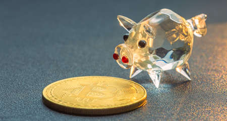 Bitcoin and piggy bank savings concept, background with bitcoinの写真素材
