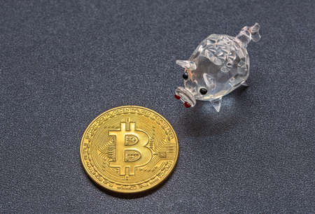 Bitcoin and piggy bank savings concept, background with bitcoinの写真素材