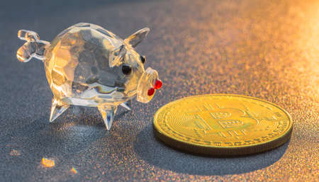 Bitcoin and piggy bank savings concept, background with bitcoinの写真素材