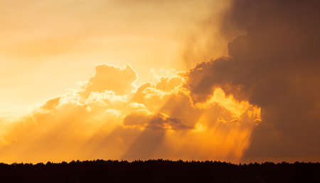 Sunrays in the evening at summer, trust and hope, heavenの写真素材