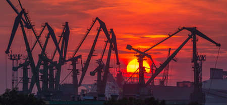 Sunset in the port with a lot of cranesの写真素材