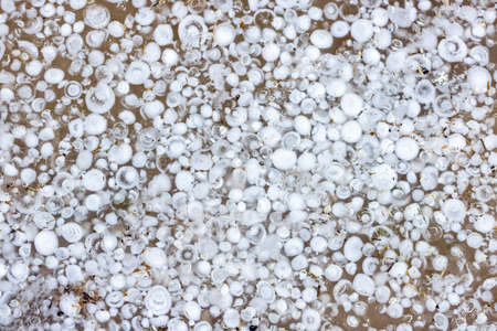 Background of hailstones in the water, a lot of hailstones