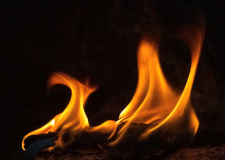 Fire flames abstract on black background, fire artの写真素材