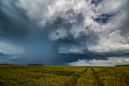 Storm clouds over field, tornadic supercell, extreme weather, dangerous stormの写真素材