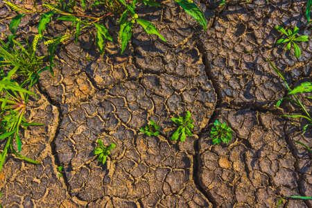 Cracked earth, metaphoric for climate change and global warmingの写真素材