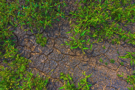 Cracked earth, metaphoric for climate change and global warmingの写真素材
