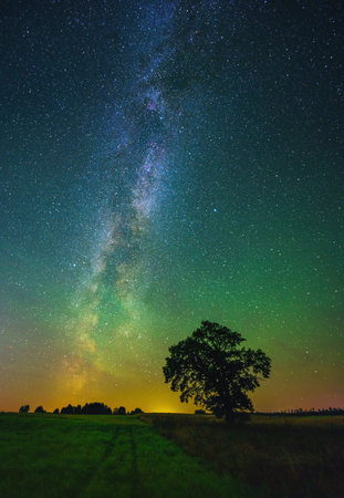 Night landscape with colorful Milky Way and an Oak treeの写真素材