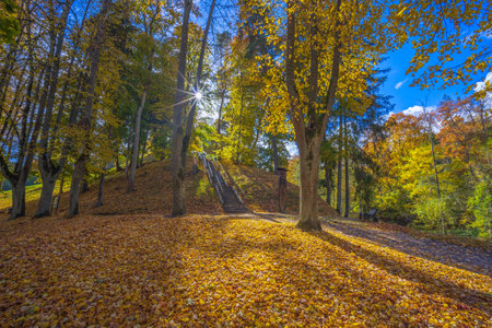 Vytautas mound covered in yellow leaves at sunny autumn day, Birstonas resort, Lithuaniaの写真素材