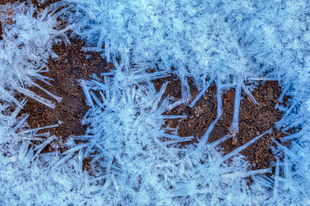 Clear blue crystals of frost on grounの写真素材