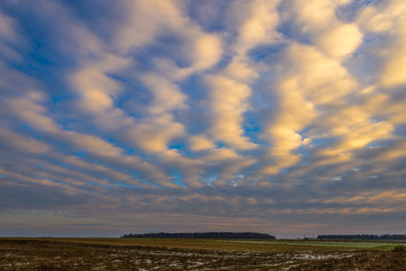 winter landscape colorful sunrise over the snow-covered fieldの写真素材
