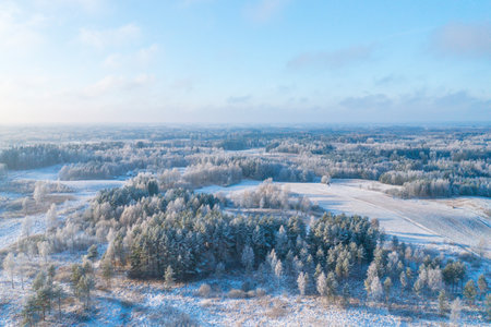 Aerial photo of frozen winter forest, cold winter landscape, aerial photoの写真素材