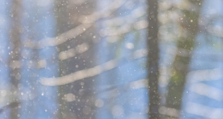 Winter landscape with falling snow, defocused backgroundの写真素材