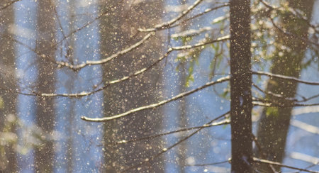 Winter landscape with falling snow, defocused backgroundの写真素材