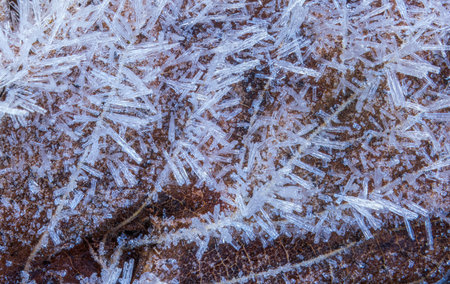 Close-up of frost textures on the leaf. Frost needles