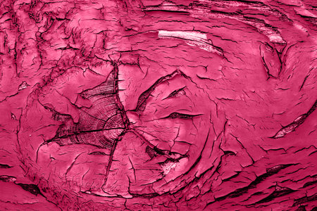 Cracked wooden pattern with viva magenta colorの写真素材