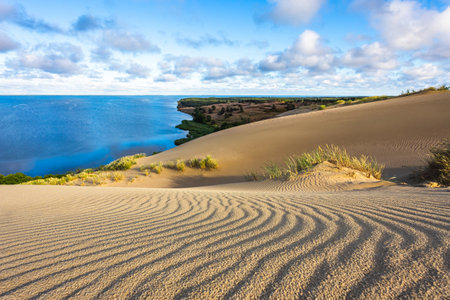 Landscape in Nida resort. Lithuania. Waves of the Dead dunes. Natural landscapeの写真素材