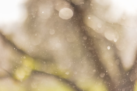 Green moss with rain dropps falling in the background. Freshnessの写真素材