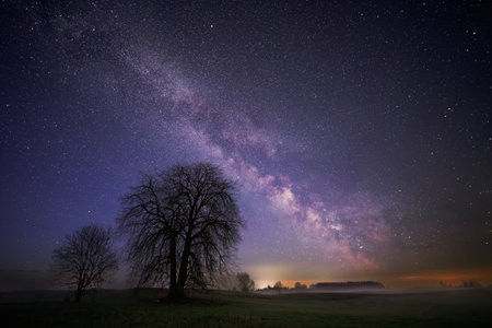 Night landscape with colorful Milky Way, spring skyの写真素材