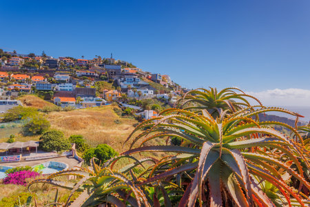 Madeira landscape, settlements built on high cliffs or in the hillsides rising steeply right from the sea shores, Garajau, Madeira island, Portugalの写真素材