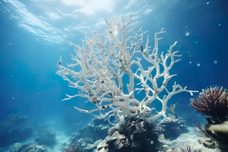Dead corals. Dead coral reef in the warming ocean. Climate change is destroying coral reefs around the world. Generative AI.の素材