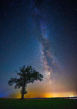 Night landscape with colorful Milky Way and a tree, autumn skyの写真素材