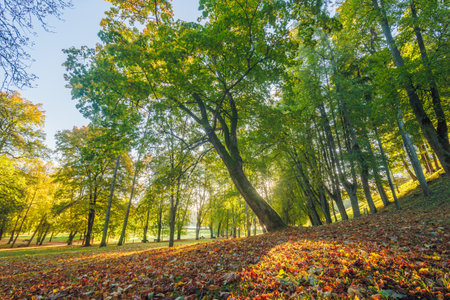 Autumn landscape in Birstonas, Lithuaniaの写真素材