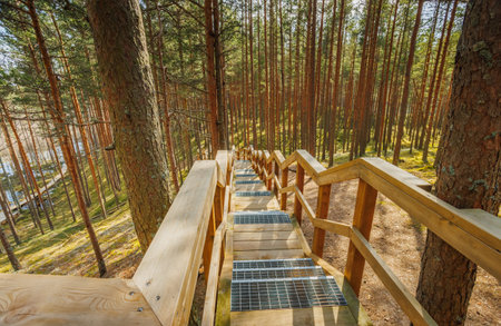 Viru Bog Viru Raba peat swamp, Estoniaの写真素材