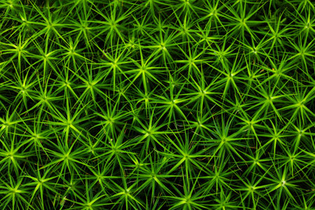 Natural green moss design shows a vibrant abstract pattern with glowing forms in vivid emerald colorの写真素材
