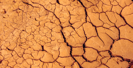 Cracked Earth. An arid landscape with cracked, dry earth patterns in a warm orange hueの写真素材