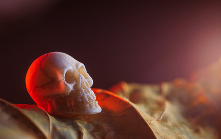Miniature skulls background. Skull backgroundの写真素材