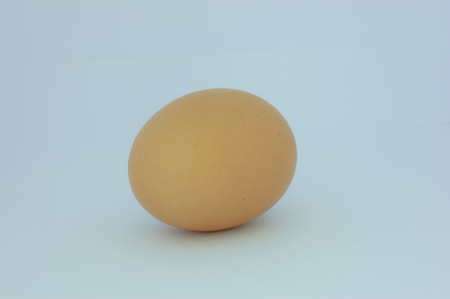 egg eggの写真素材