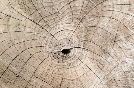 Old wooden table texture backgroundの写真素材