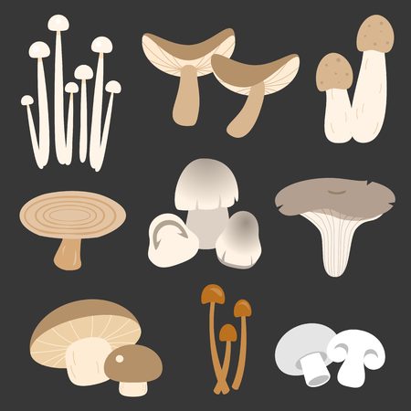 Vector eatable thai mushroom in flat styleのイラスト素材