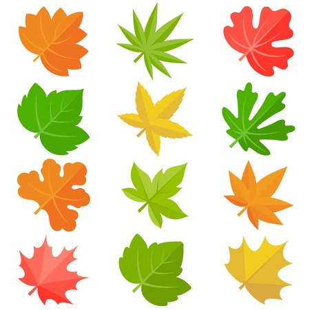 leaves icon set 3, flat design no backgroundのイラスト素材