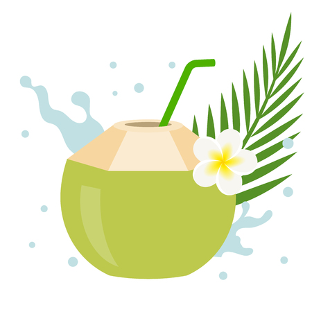 Vector coconut iconのイラスト素材