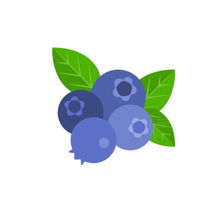Vector bunch of blueberry, flat designのイラスト素材