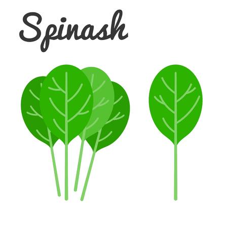 Vector Spinach with text, flat design no backgroundのイラスト素材