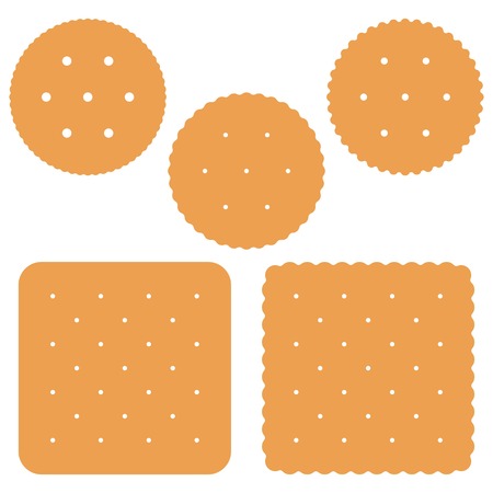Set of square and round Cracker on white background vectorのイラスト素材