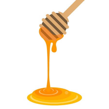 dipper and honey, flat design,no gradientのイラスト素材